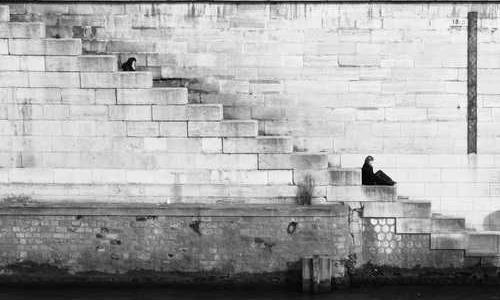 Track Progress & Adjust Goals